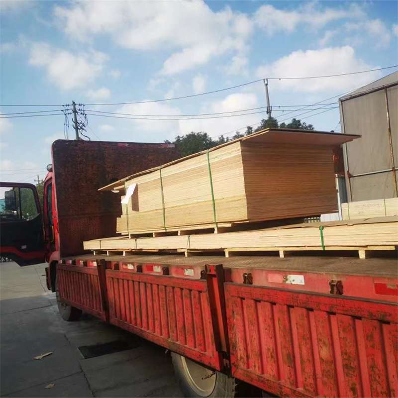 牧野区通化市物流运输：多元服务与高效线路探秘